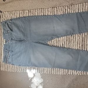 NWOT Madewell Plus Size Blue The Perfect Vintage Jean Size 34